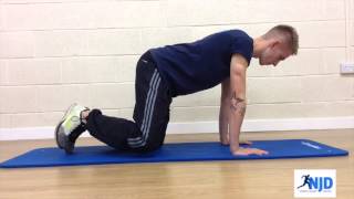4 Point Kneeling: Clam Variations