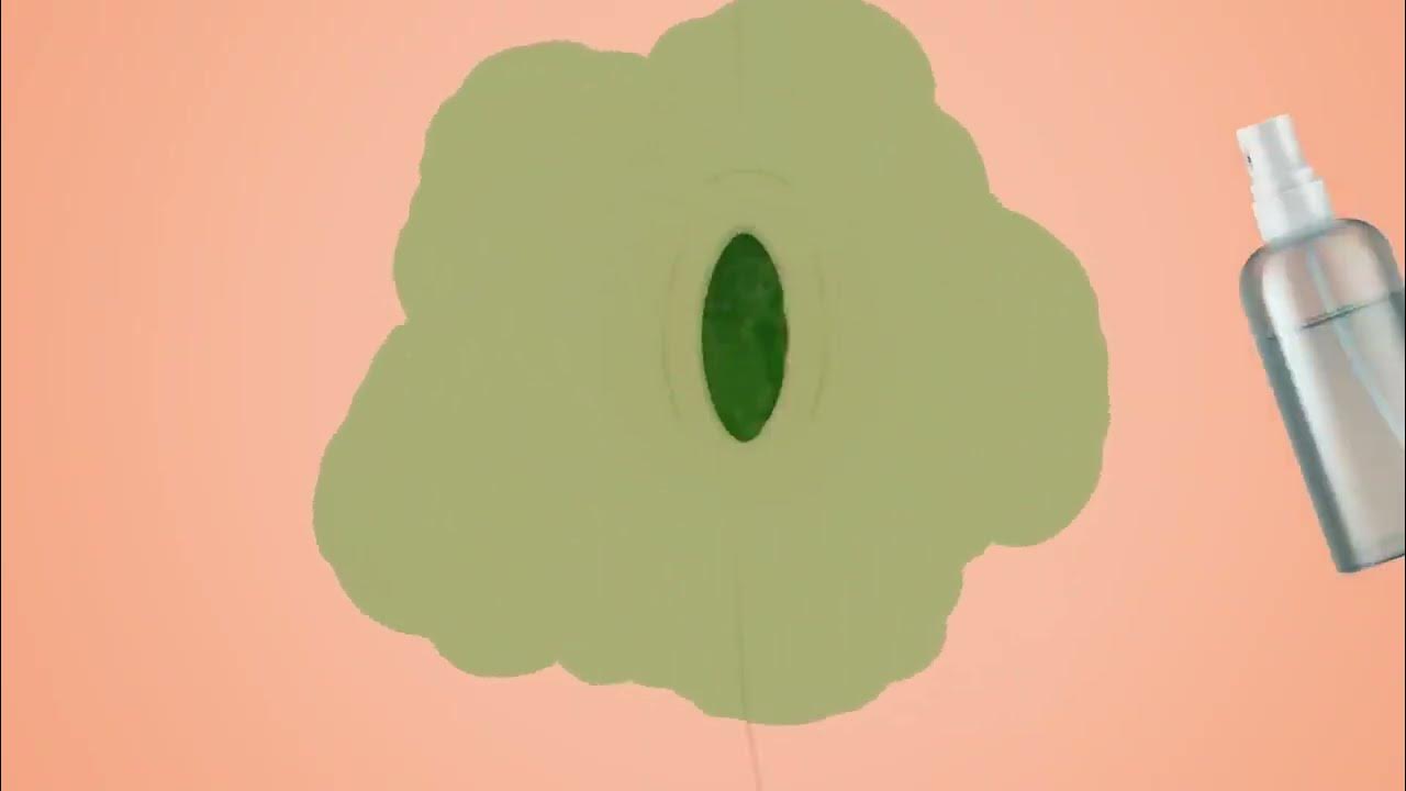 Navel Stone Removal ASMR animation YouTube