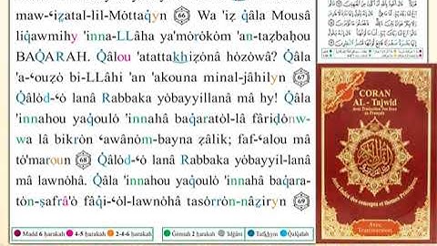ختمة من مصحف التجويد باللغة الفرنسية الصفحة رقم 10