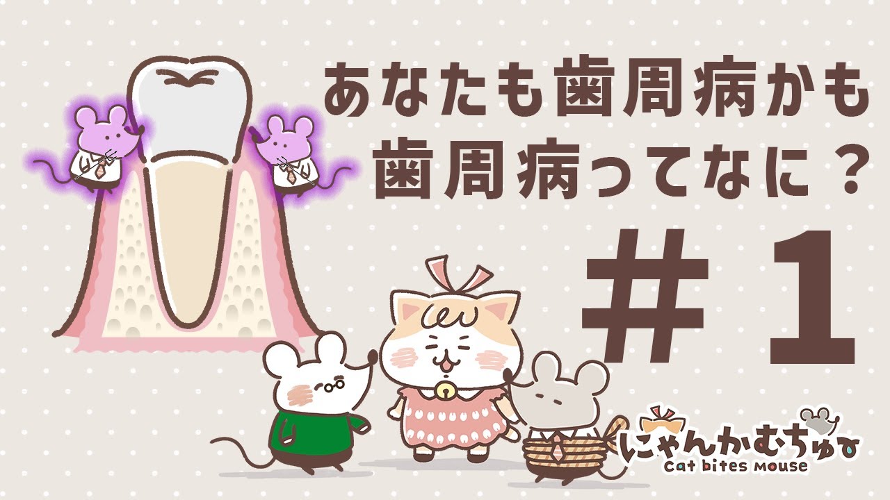 歯周病について楽しく学べる！動画「にゃんかむちゅ～」の不思議な魅力