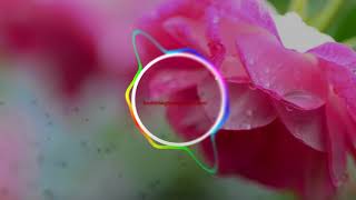 Download Lagu Download Galtiyan – Zack Knight ringtone | Best Ringtones download Free for mobile MP3