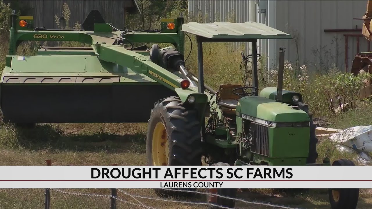 Upstate farmers using winter hay supply to feed livestock amid drought