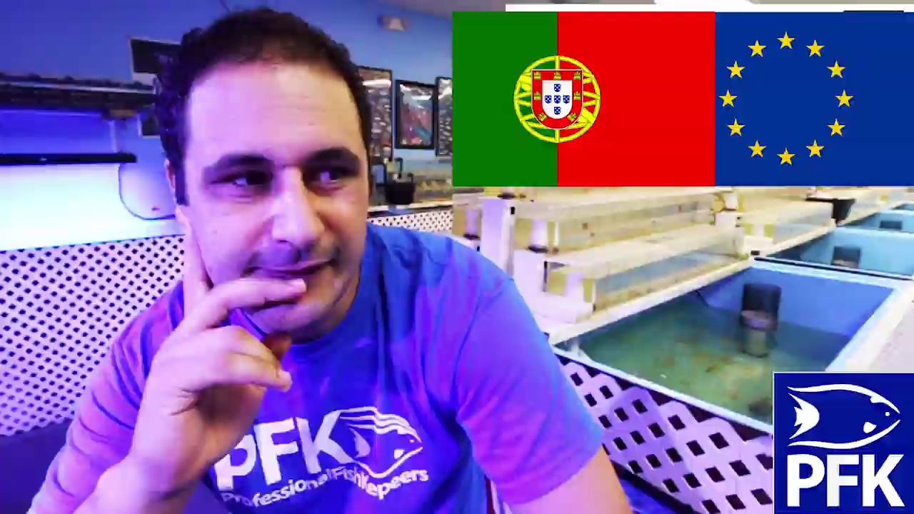 MOVING TO PORTUGAL - EUROPE