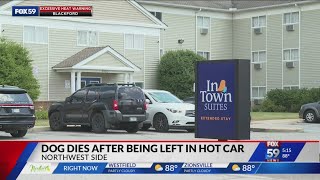 Two people facing criminal charges after a dog died from being left in a hot car