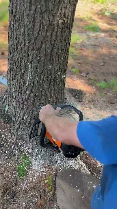 Is the Stihl MS500i the BEST Chainsaw on the market? 🧐