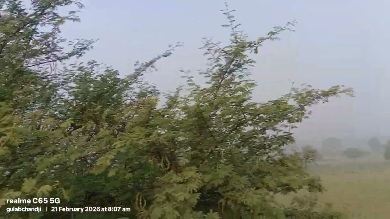 #कोहरा भी प्राकृतिक देन हैं @prakritiAurbhagvan💚