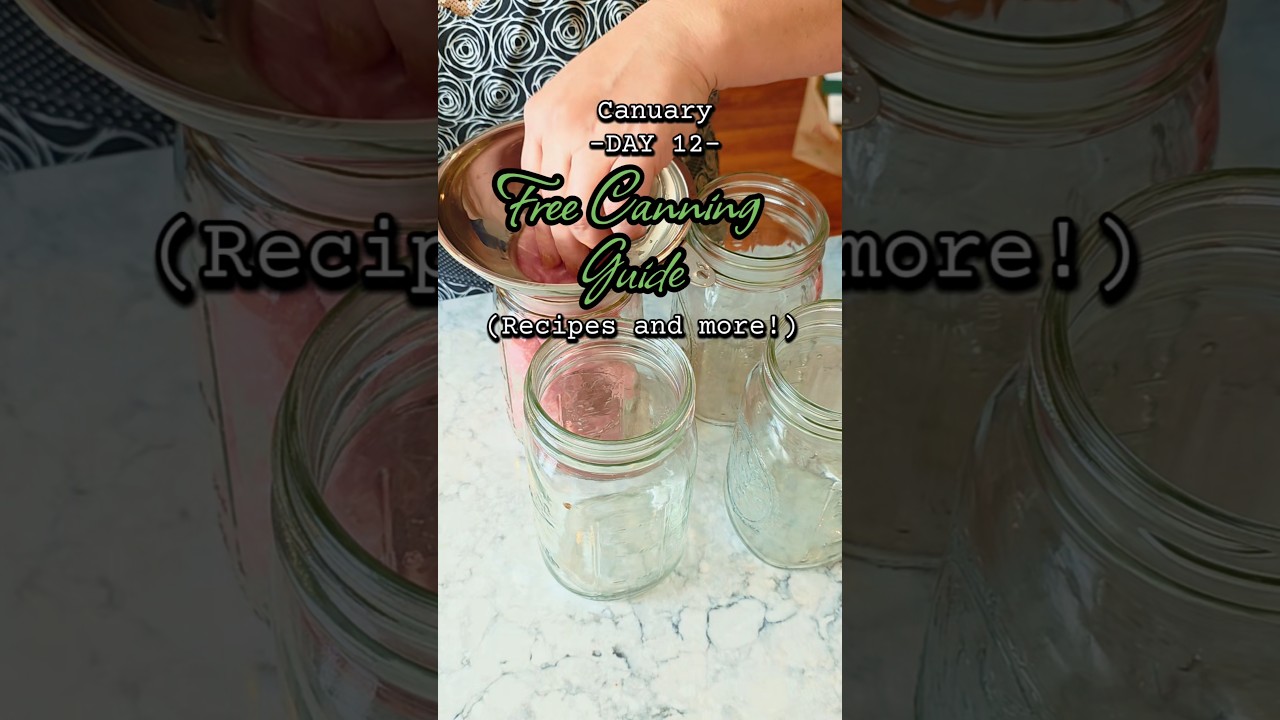 День 12 консервирования: Бесплатное руководство по консервированию