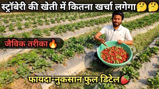 Strawberry के खेती कैसे करें | Strawberry farming in India | Profit | Hindi | AGRIL CAREER screenshot 4