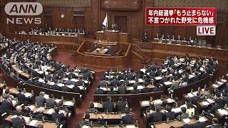 「ここまできたら止められない」永田町ヒートアップ(14/11/12)