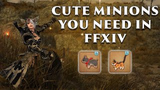 How To Get Minions In FFXIV Part 2 - Coeurl Kitten & Wolf Pup Edition! #ff14 #ffxiv