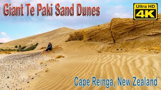 Giant Te Paki Sand Dunes - Cape Reinga, New Zealand
