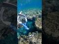 Freediving #okinawatrip #mermaid #freediver #freediving #沖縄観光 #スキンダイビング