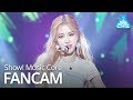 [예능연구소 직캠] 블랙핑크 Don't Know What To Do 로제 Focused @쇼!음악중심_20190406 BLACKPINK ROSÉ