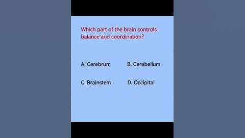 Which part of the brain controls balance and coordination?