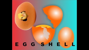 how to draw an egg in Corel Draw