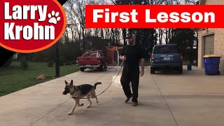 German Shepherd Training / First E Collar Session