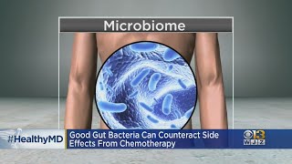 Healthwatch: Good Gut Bacteria Can Counteract Side Effects From Chemotherapy