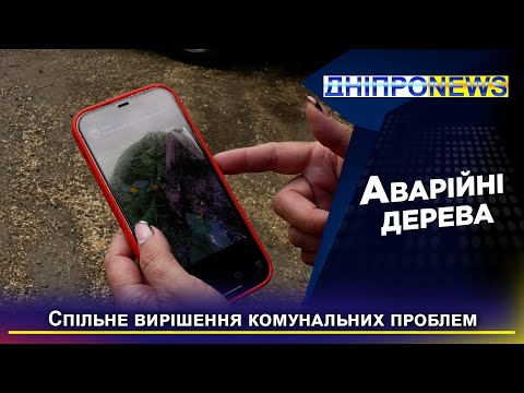 Небезпечні аварійні дерева: як вирішити проблеми