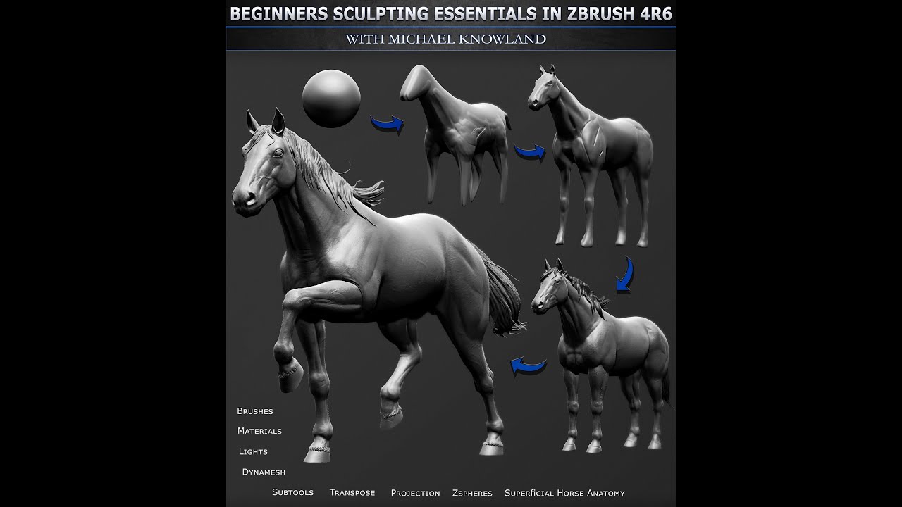 gumroad beginners sculpting essentials in zbrush 4r6