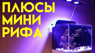 mini reef 50 | морской аквариум 50 литров