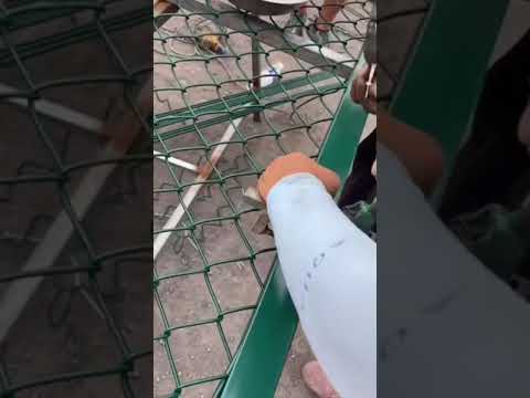 طريقة تركيب الشبك للأقفاص