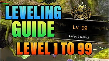 Leveling Guide MAIN QUEST For Beginners Dragon Nest SEA