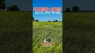 Valley View Prairie | 50± Acres | Cooke County, TX | Land For Sale Near I-35