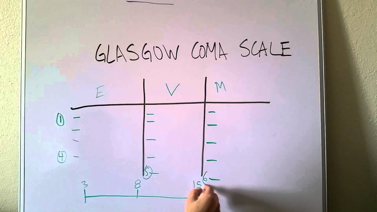 Gcs Scale Chart