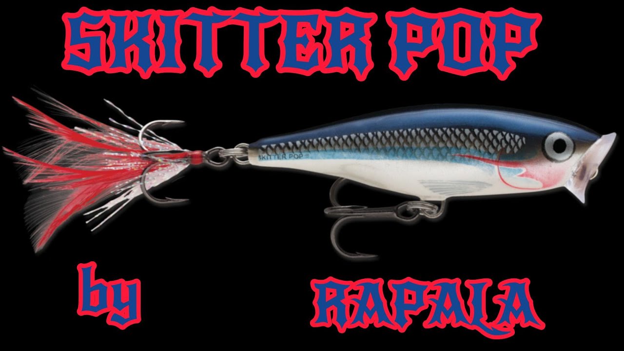 Esca Da Pesca Rapala Skitter Pop Acqua Salata 12 &ndash; Color Mullet, Lunghezza 4 3/4'' &ndash; Nuova In Confezione