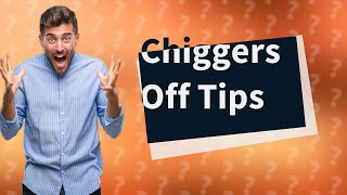 How do you keep chiggers off you?