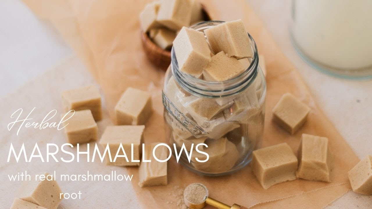 Как приготовить домашний травяной зефир с корнем алтея