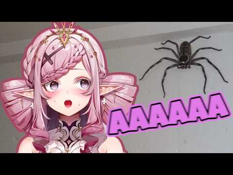 Malice reacts to the Huntsman Spider