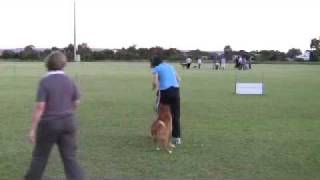 Scoota directed jumping