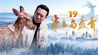 朝夕相处的恋人竟是对手助理？艳红当众戳穿魏长林阴谋《米良与麦青》EP19【CCTV电视剧】
