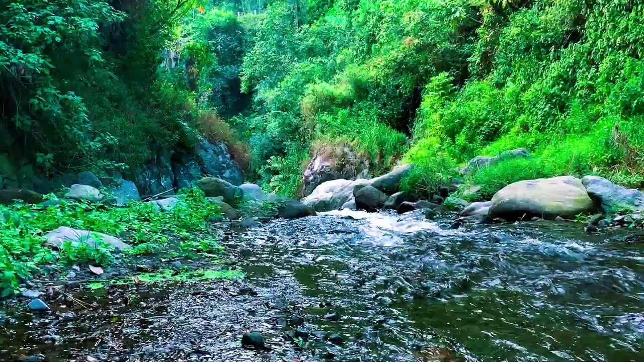 Divine Brook Sounds 10 Hours – For Natural Sleep & Anxiety Relief