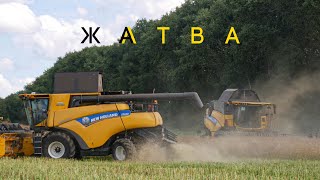 Уборка рапса и пшеницы / 5x NEW HOLLAND (CR9.80, CX8.80, CX8080), ПАЛЕССЕ GS12 и другие /