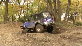 20091129足チェックTJ40.mpg
