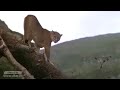 فاصل اكشن حب رومنسيه حنين قوي