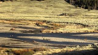 America's National Parks