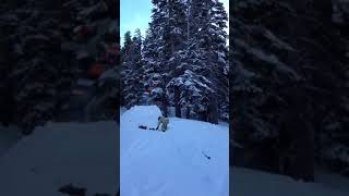 Snowboarder jumps ramp and lands on kid