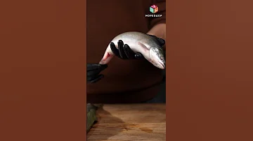 Голец почему так называется? Тихоокеанский голец - дикий лосось. Вкусная красная рыба