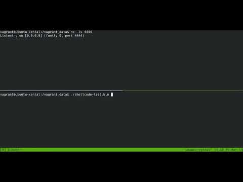 Reverse TCP shell authentication