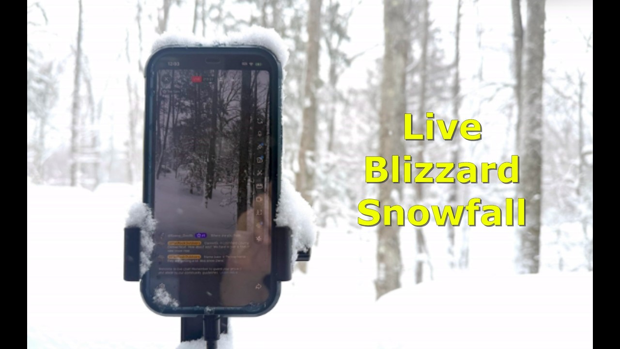 Blizzard! Flat Rock is live in the snow