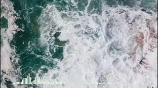 Veronica Bravo and Le Bober - Faded [Spectrum Video]