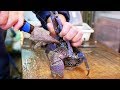 Japanese Street Food - COCONUT CRAB Crab Curry Seafood Okinawa Japan