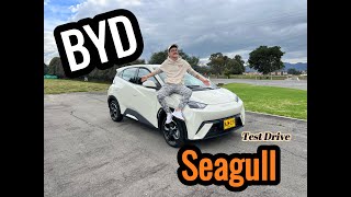 BYD Seagull  El carro que vino a romper el mercado  TEST DRIVE ⚡