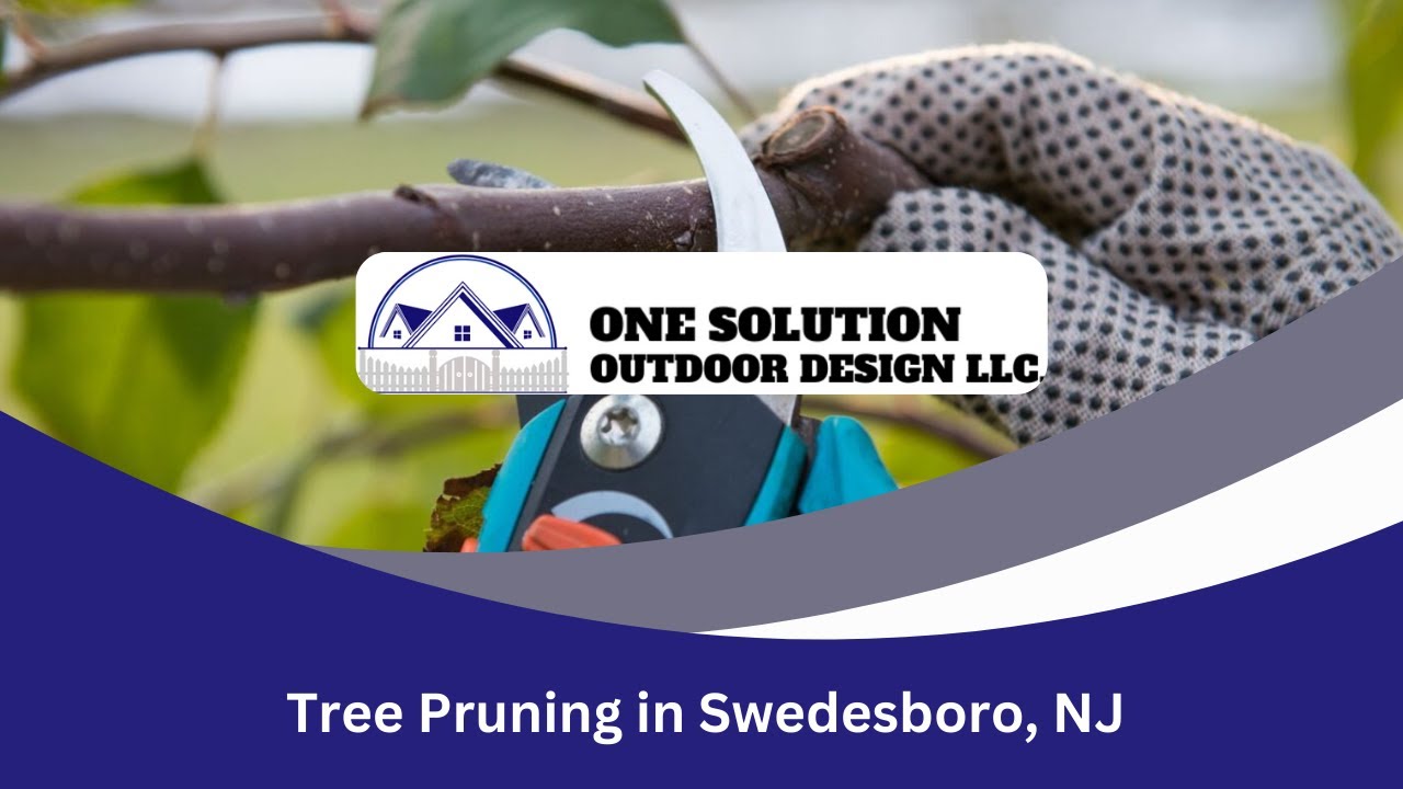 Tree Pruning in Swedesboro, NJ | One Solutions Outdoor Designs