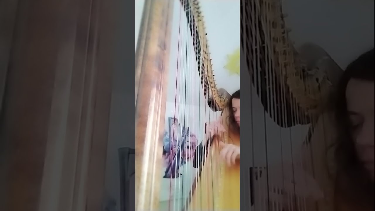 A song of a sick guinea pig