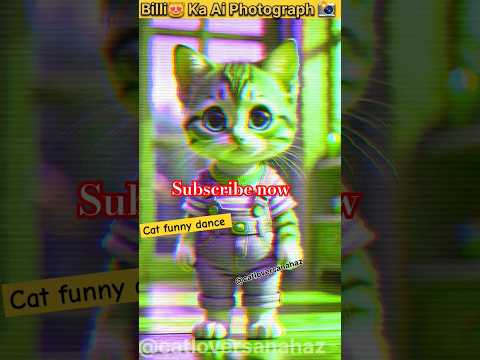 Cute dance😻😱👌#cute #catloversanahaz