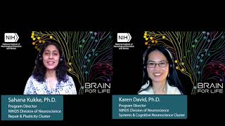 Celebrity Ask a Program Director: What is appropriate to discuss with a Program Director? Profile